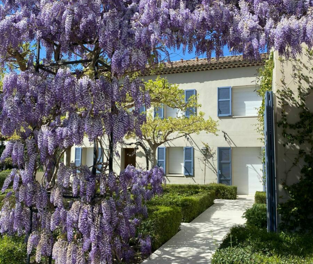 8798636a f66a 4314 9972 a8a55cc4946d