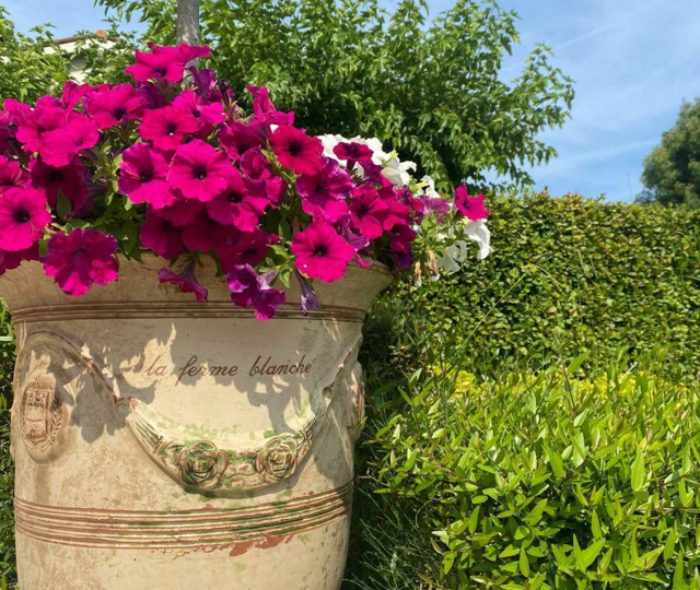 f3bbef43 4ad6 412d 8861 22e645ef639a